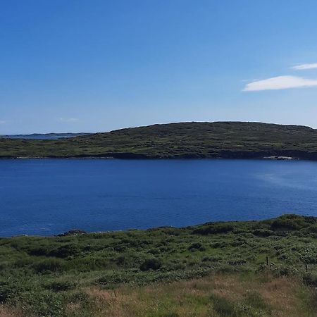 Conneelys Cottage, Connemara, Clifden, H71Y096 Esterno foto